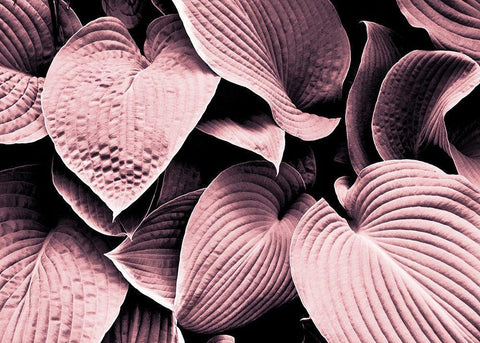 Groove White Modern Wood Framed Art Print with Double Matting by Design Fabrikken