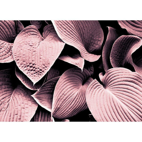 Groove White Modern Wood Framed Art Print by Design Fabrikken