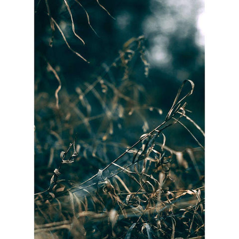 Secret 1 Black Modern Wood Framed Art Print by Design Fabrikken