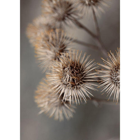 Avantgarde White Modern Wood Framed Art Print by Design Fabrikken