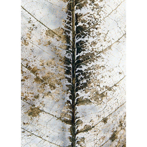 Close Up White Modern Wood Framed Art Print by Design Fabrikken