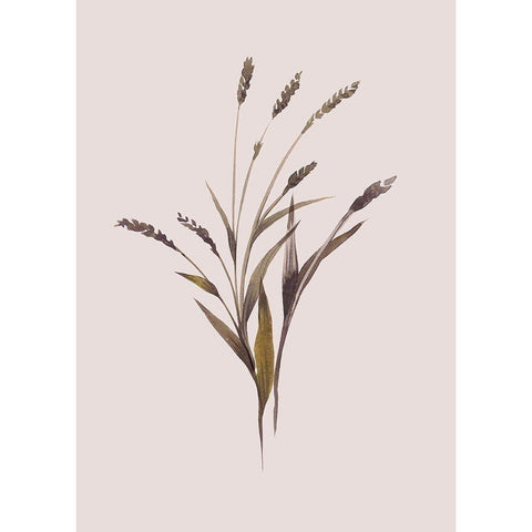 Wheat Gold Ornate Wood Framed Art Print with Double Matting by Design Fabrikken