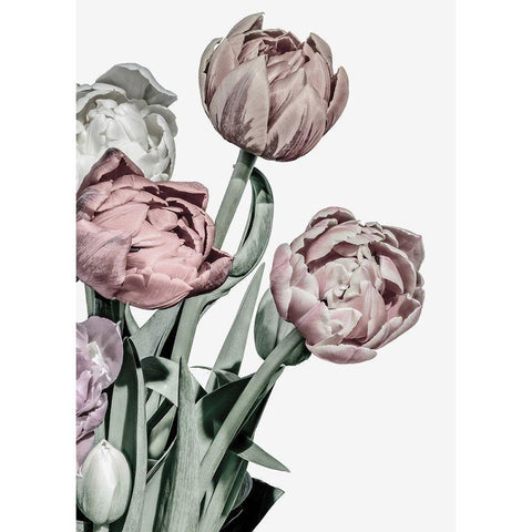 Tulips Bright Gold Ornate Wood Framed Art Print with Double Matting by Design Fabrikken