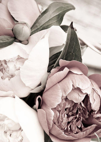 Opulent 1 White Modern Wood Framed Art Print with Double Matting by Design Fabrikken