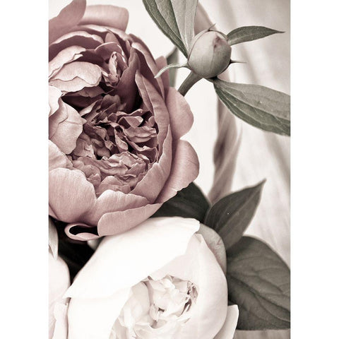 Opulent 2 Black Modern Wood Framed Art Print by Design Fabrikken