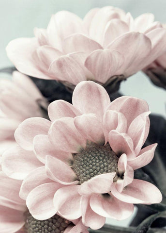 Opulent 3 White Modern Wood Framed Art Print with Double Matting by Design Fabrikken