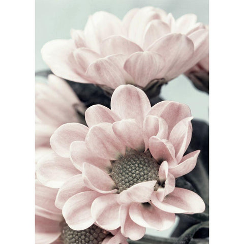 Opulent 3 Black Modern Wood Framed Art Print with Double Matting by Design Fabrikken