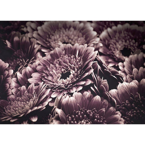 Opulent 4 Gold Ornate Wood Framed Art Print with Double Matting by Design Fabrikken