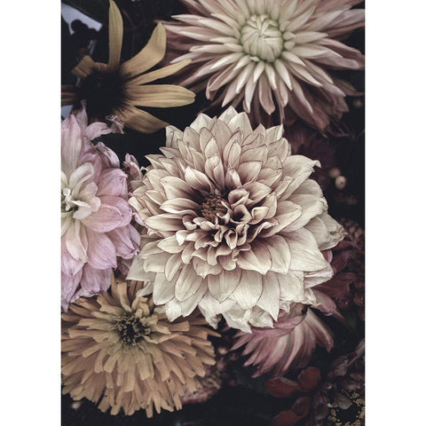 Opulent 5 Gold Ornate Wood Framed Art Print with Double Matting by Design Fabrikken