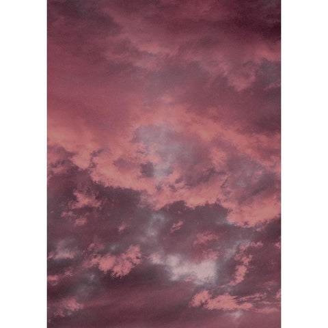 Pink Sky Black Modern Wood Framed Art Print with Double Matting by Design Fabrikken