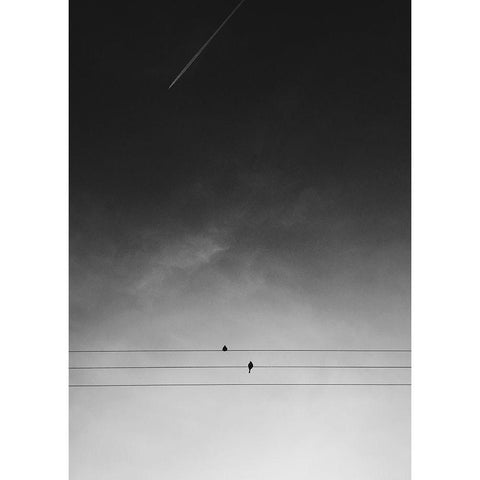 One Day Black Modern Wood Framed Art Print by Design Fabrikken
