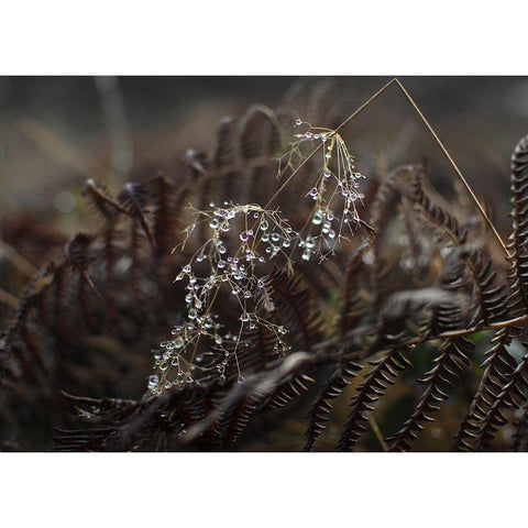 Secret 2 Black Modern Wood Framed Art Print by Design Fabrikken