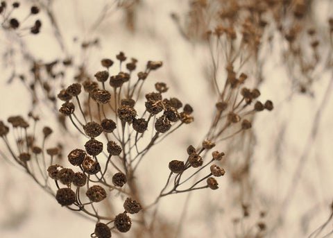 Secret 3 White Modern Wood Framed Art Print with Double Matting by Design Fabrikken