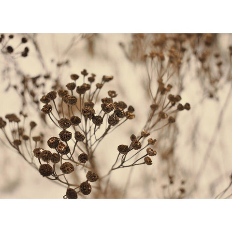 Secret 3 White Modern Wood Framed Art Print by Design Fabrikken