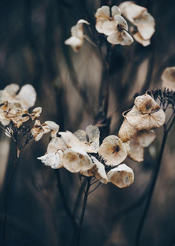 Secret 4 White Modern Wood Framed Art Print with Double Matting by Design Fabrikken