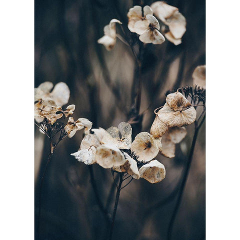 Secret 4 Black Modern Wood Framed Art Print by Design Fabrikken