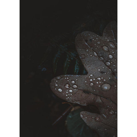 Secret 5 Black Modern Wood Framed Art Print by Design Fabrikken