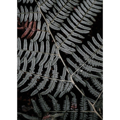 Secret 6 Black Modern Wood Framed Art Print with Double Matting by Design Fabrikken