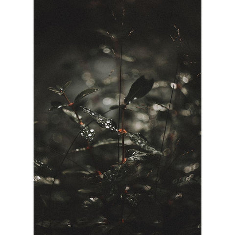 Secret 7 Black Modern Wood Framed Art Print by Design Fabrikken