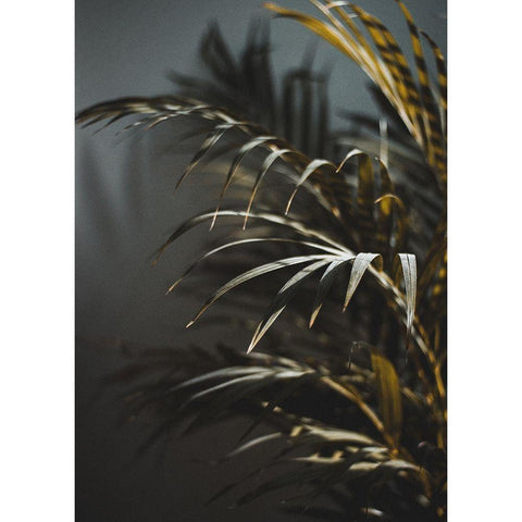 Secret 8 Black Modern Wood Framed Art Print by Design Fabrikken