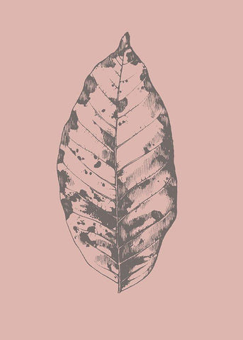 Botanica 1 White Modern Wood Framed Art Print with Double Matting by Design Fabrikken