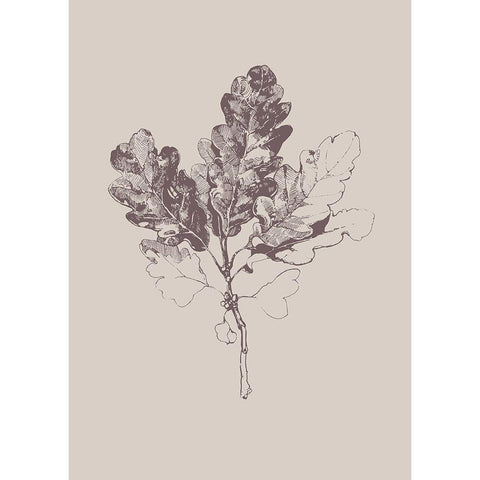 Botanica 3 Gold Ornate Wood Framed Art Print with Double Matting by Design Fabrikken