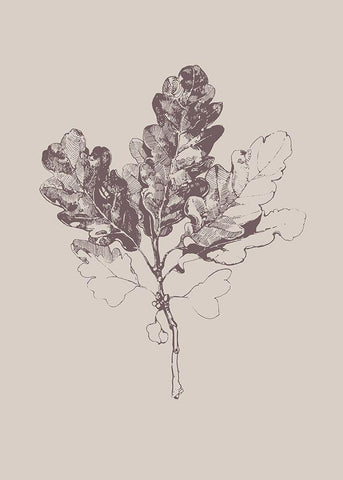 Botanica 3 White Modern Wood Framed Art Print with Double Matting by Design Fabrikken