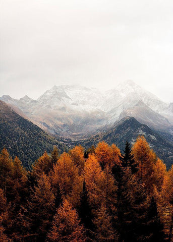 Bishop 17 White Modern Wood Framed Art Print with Double Matting by Design Fabrikken