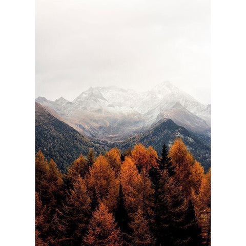 Bishop 17 Black Modern Wood Framed Art Print by Design Fabrikken