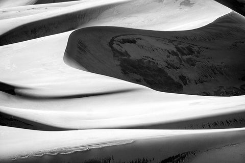 Desert 1 Black Ornate Wood Framed Art Print with Double Matting by Design Fabrikken