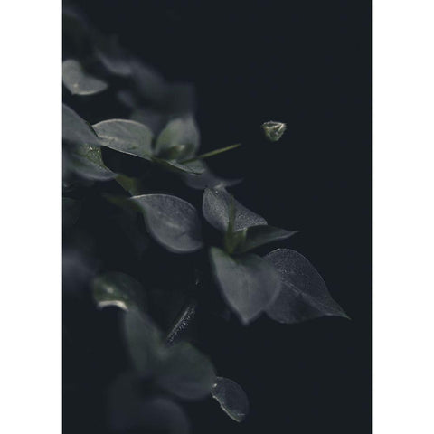 Secret 9 Black Modern Wood Framed Art Print by Design Fabrikken