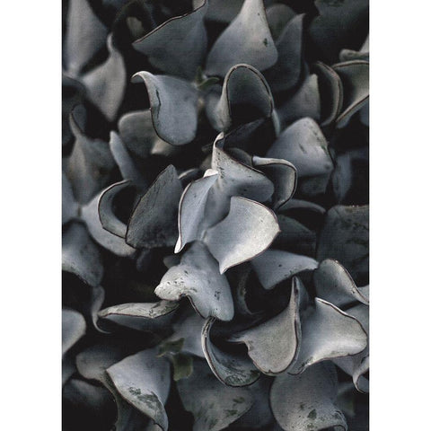 Secret 10 Black Modern Wood Framed Art Print by Design Fabrikken