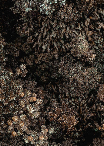 Secret 11 White Modern Wood Framed Art Print with Double Matting by Design Fabrikken