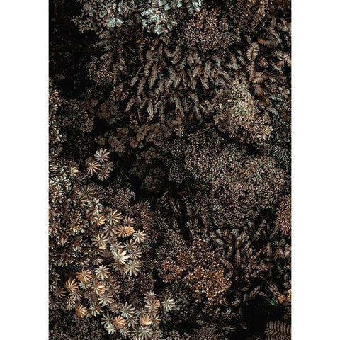 Secret 11 Black Modern Wood Framed Art Print by Design Fabrikken