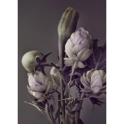 Secret 13 Black Modern Wood Framed Art Print with Double Matting by Design Fabrikken