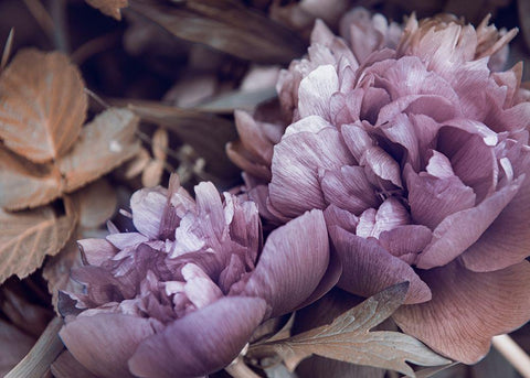 Secret 14 White Modern Wood Framed Art Print with Double Matting by Design Fabrikken