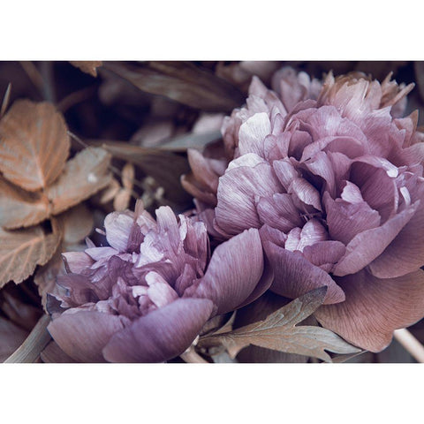 Secret 14 White Modern Wood Framed Art Print by Design Fabrikken