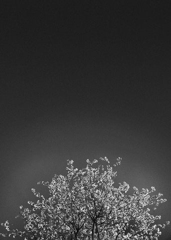 Twinkling Lights 1 White Modern Wood Framed Art Print with Double Matting by Design Fabrikken