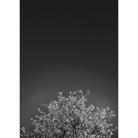 Twinkling Lights 1 Black Modern Wood Framed Art Print by Design Fabrikken