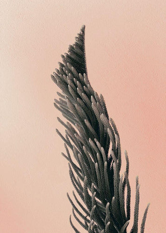 Upwards 1 Black Ornate Wood Framed Art Print with Double Matting by Design Fabrikken