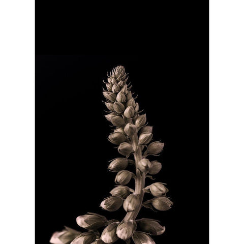 Upwards 2 White Modern Wood Framed Art Print by Design Fabrikken