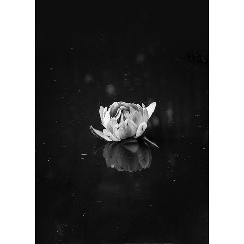 Floating 2 White Modern Wood Framed Art Print by Design Fabrikken