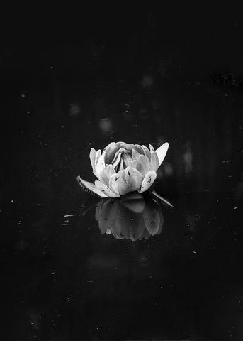 Floating 2 Black Ornate Wood Framed Art Print with Double Matting by Design Fabrikken