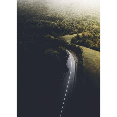 Road to Darkness Gold Ornate Wood Framed Art Print with Double Matting by Design Fabrikken