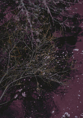 River of Wine Black Ornate Wood Framed Art Print with Double Matting by Design Fabrikken