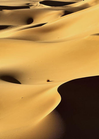In the Dunes 1 Black Ornate Wood Framed Art Print with Double Matting by Design Fabrikken