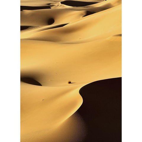 In the Dunes 1 Black Modern Wood Framed Art Print by Design Fabrikken