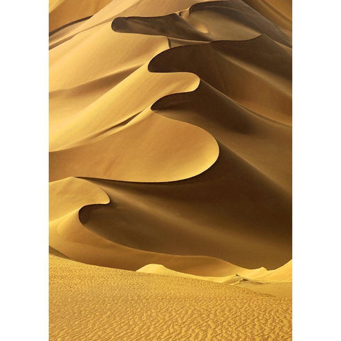 In the Dunes 2 Black Modern Wood Framed Art Print with Double Matting by Design Fabrikken