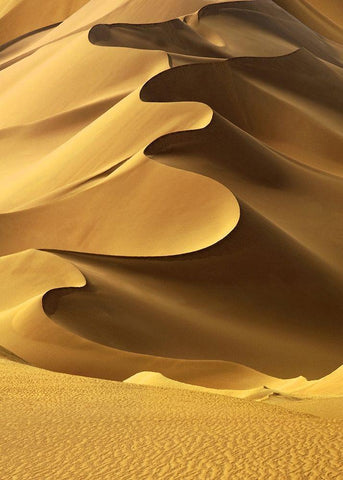In the Dunes 2 White Modern Wood Framed Art Print with Double Matting by Design Fabrikken