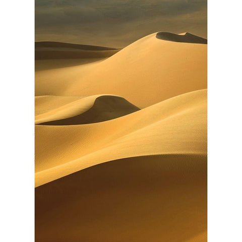 In the Dunes 3 Gold Ornate Wood Framed Art Print with Double Matting by Design Fabrikken